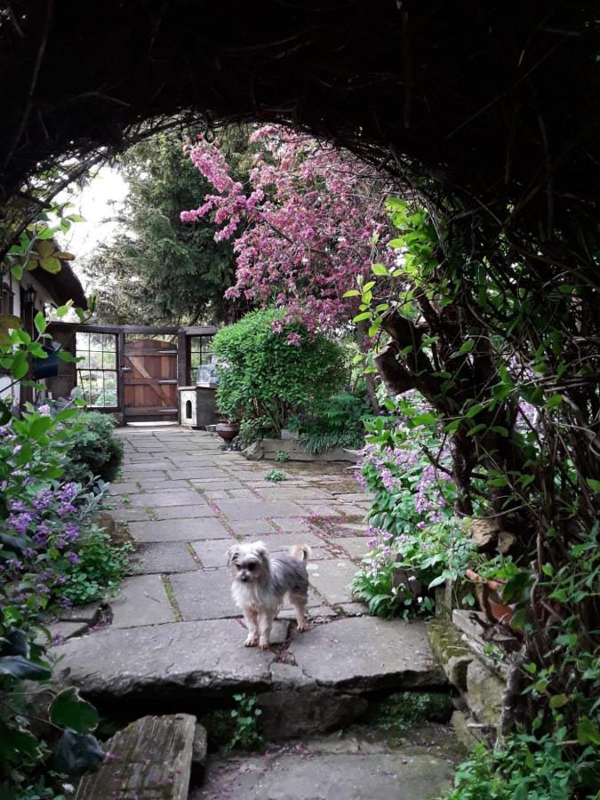 Parrs Cottage Wollaston (Shropshire) Exterior foto